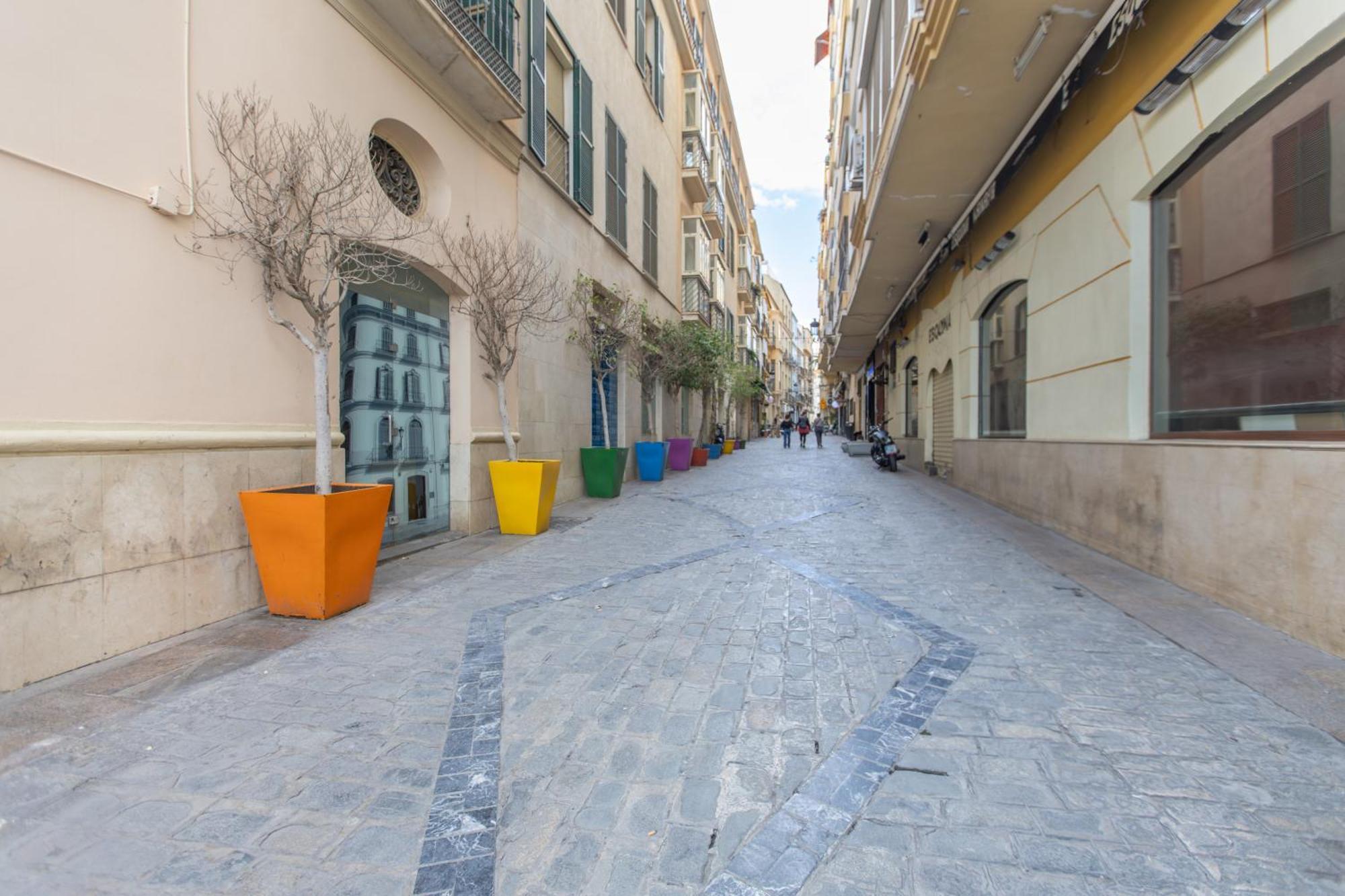 Homely San Juan De Letran Con Terraza Apartment Málaga